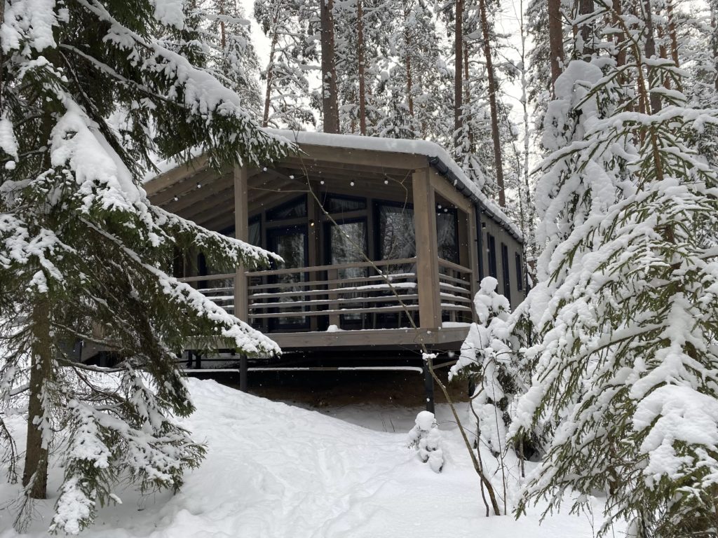 Современный каркасный дом с большими окнами и крытым крыльцом расположился среди высоких сосен в заснеженном подмосковном лесу, создавая умиротворяющую зимнюю картину.